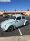 1964 bug