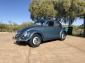 Top level restoration 57 Oval Sunroof