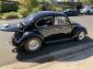 1966 Street/strip Beetle