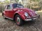 1966 Barn Find Beetle