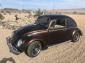 1963 Bug