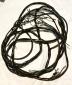 Porsche 356 BT6 original rear wiring harness