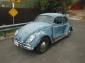 Classic 64 VW Bug $7000