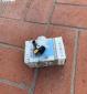 NOS Factory Ignition Switches