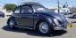 Restored 1956 Oval Window Ragtop Bug