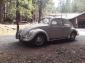 D. Stankalis 1964 Bug