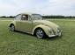 PRICE REDUCED ANOTHER $1000! show winner 65 Bug