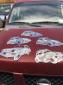 Cnc plasma wall arts