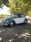 1961 VW Bug