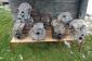 Used Engine Cases