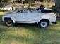 1973 Original Paint Thing
