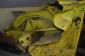 1973-1979 VW Super Beetle Front Passenger Side