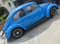 67 bug