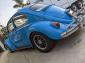67 bug