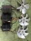 NOS A/C fan motors and blades