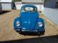 Restored 1966 bug