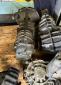 924 Track Transaxle "snail" 5 Speed