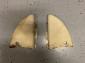 1965 - 1967 65-67 Convertible vert hinge covers