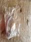 Bug inside door handle in the bag
