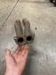 Type 4 manifold flange Header section