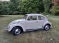 Swedish import 1964 Beetle original paint survivor