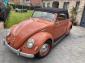 The coral red oval convertible back for sale 1955