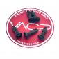 Stainless Steel/Black Oxide Upper Grill Pins