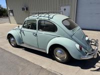 1966 Bug Recent Resurrection [vw] on thesamba.com (forum)