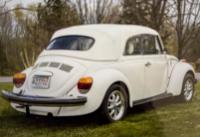 1979 Bug Convertible [vw] on thesamba.com (forum)