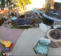 1964 & 1956 beetles [vw] on thesamba.com (forum)