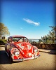 vw bug rear safari window
