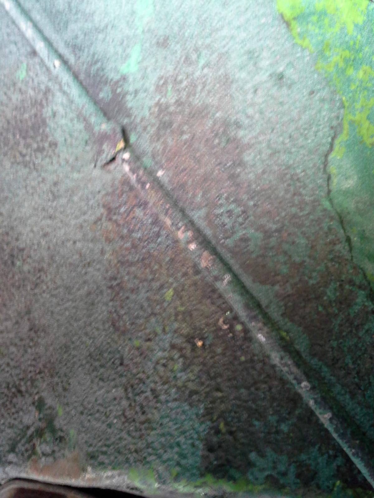 Image may have been reduced in size. Click image to view fullscreen.