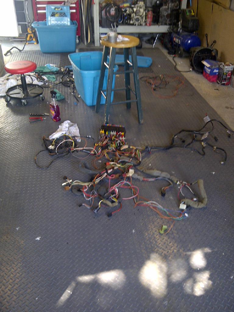 Image may have been reduced in size. Click image to view fullscreen.