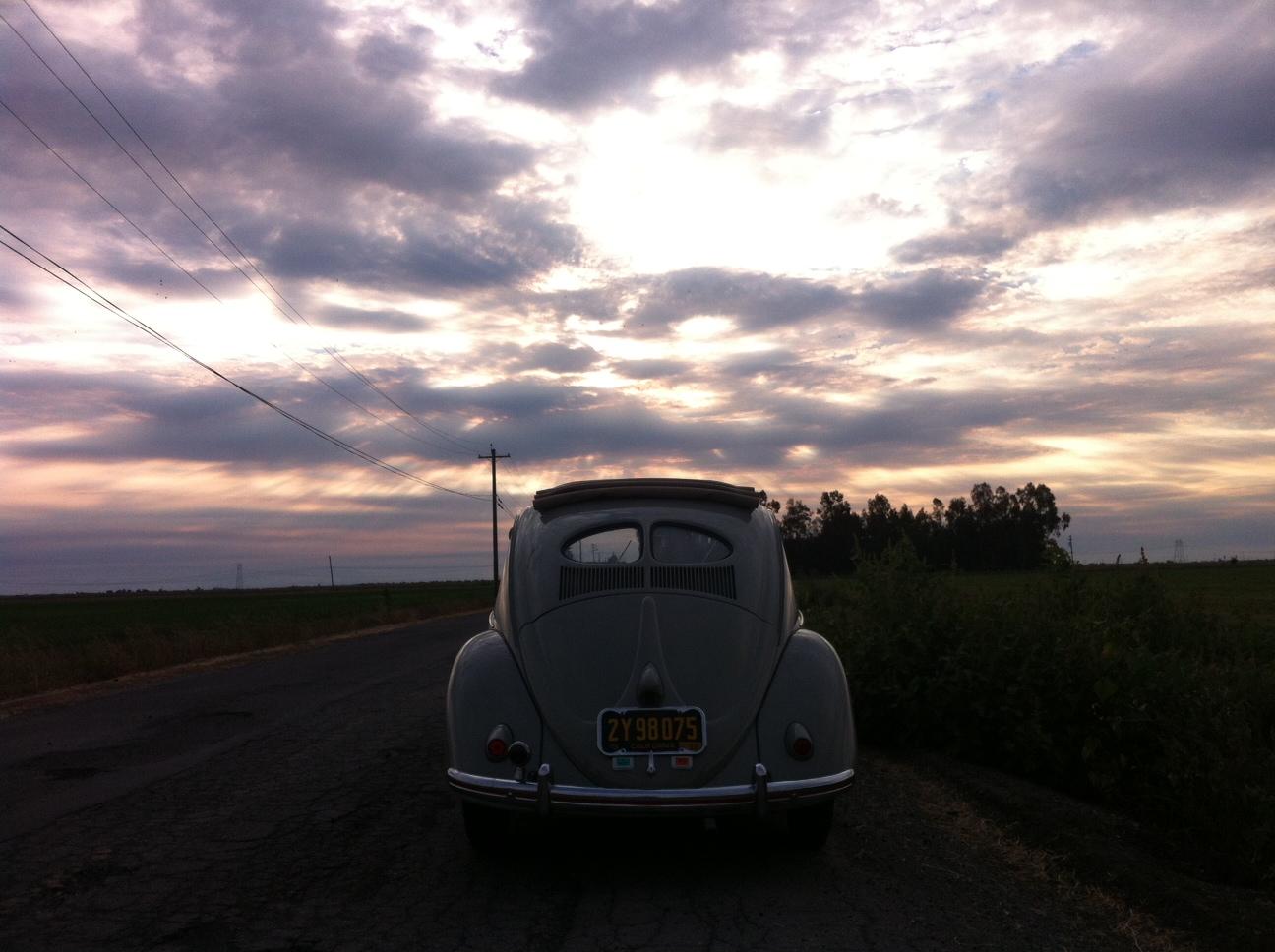 Image may have been reduced in size. Click image to view fullscreen.