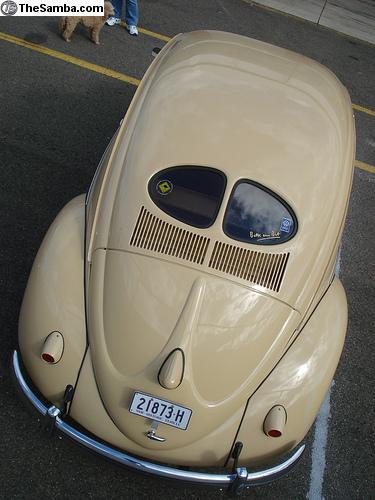 Image may have been reduced in size. Click image to view fullscreen.