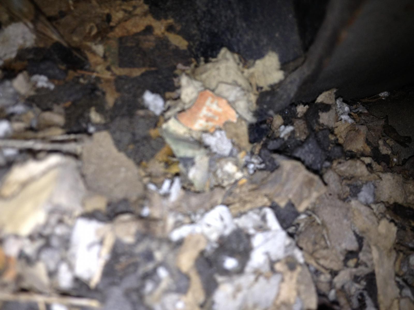 Image may have been reduced in size. Click image to view fullscreen.