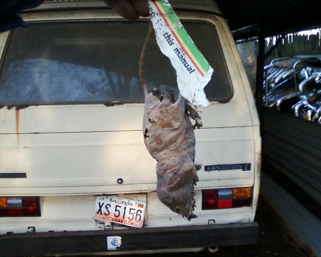 Image may have been reduced in size. Click image to view fullscreen.