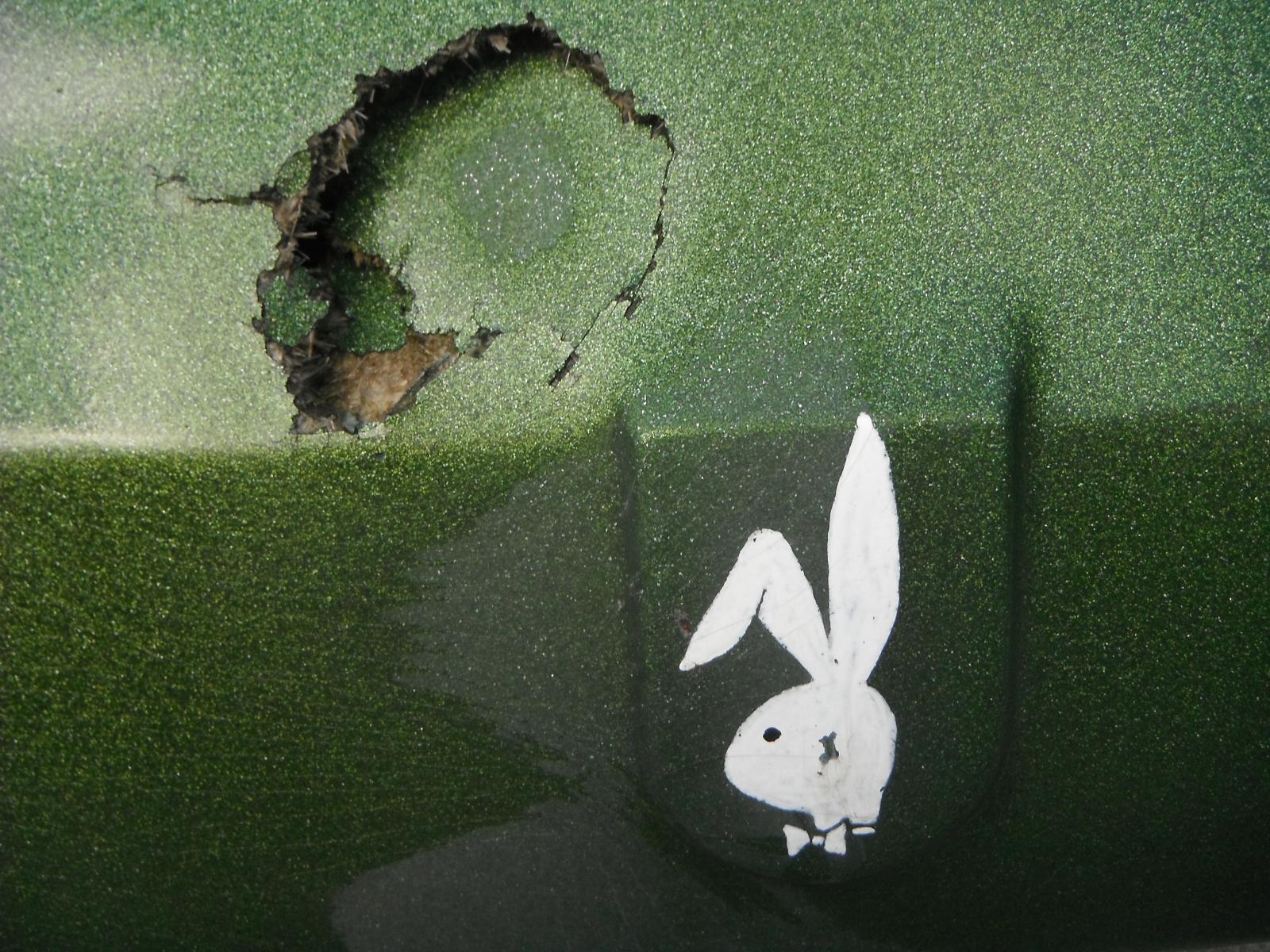 Image may have been reduced in size. Click image to view fullscreen.