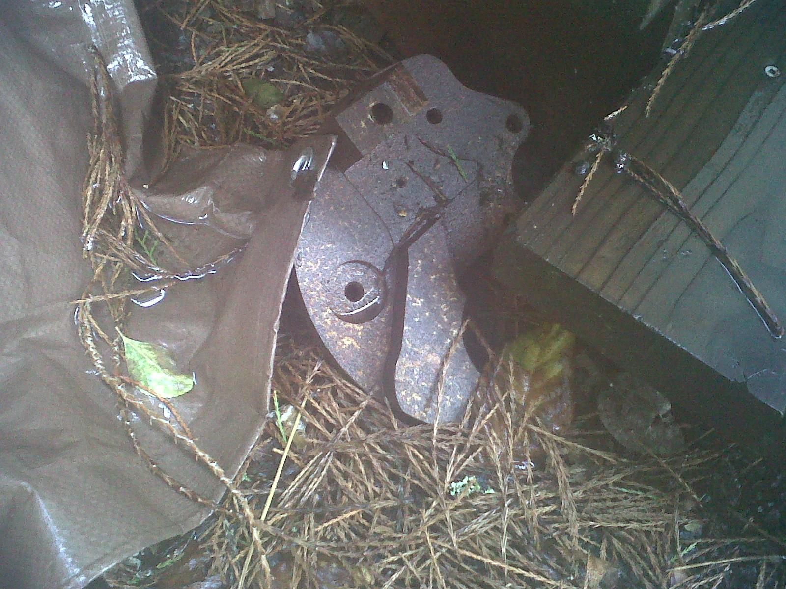 Image may have been reduced in size. Click image to view fullscreen.