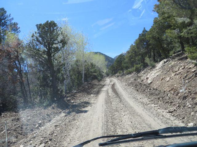 Image may have been reduced in size. Click image to view fullscreen.