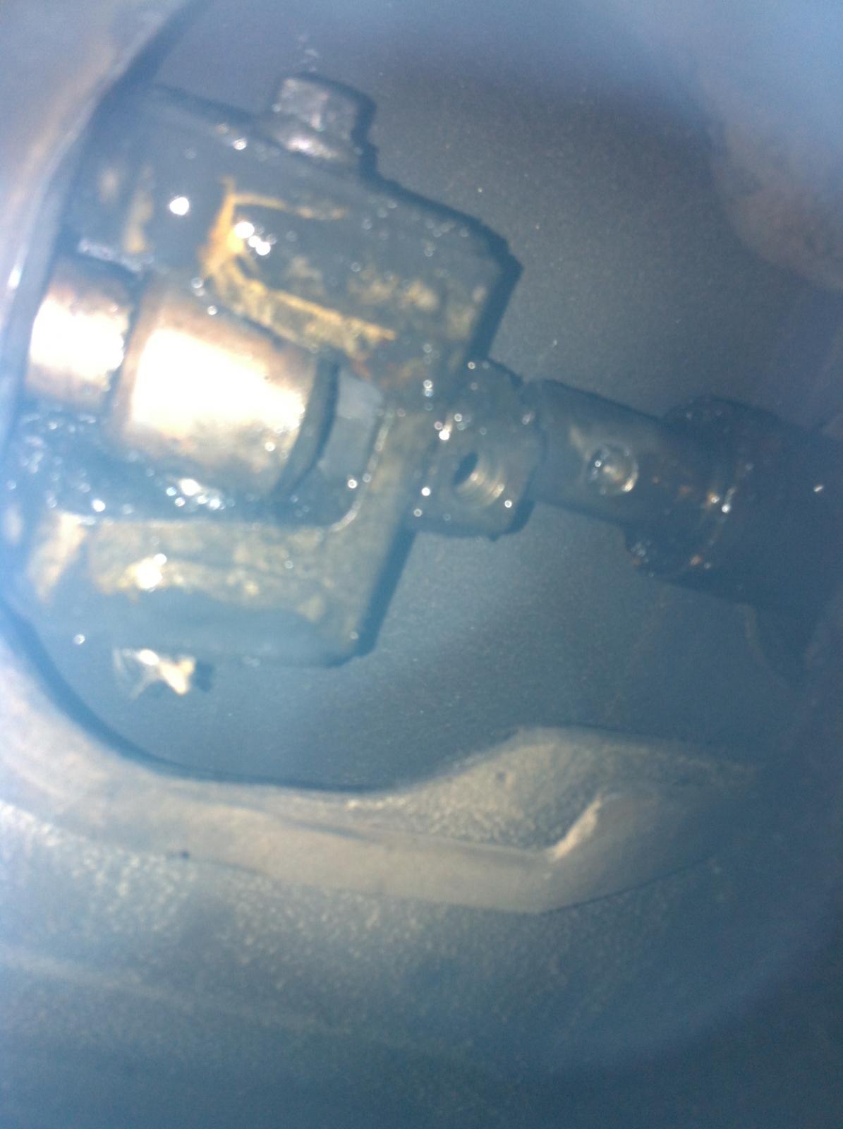 Image may have been reduced in size. Click image to view fullscreen.