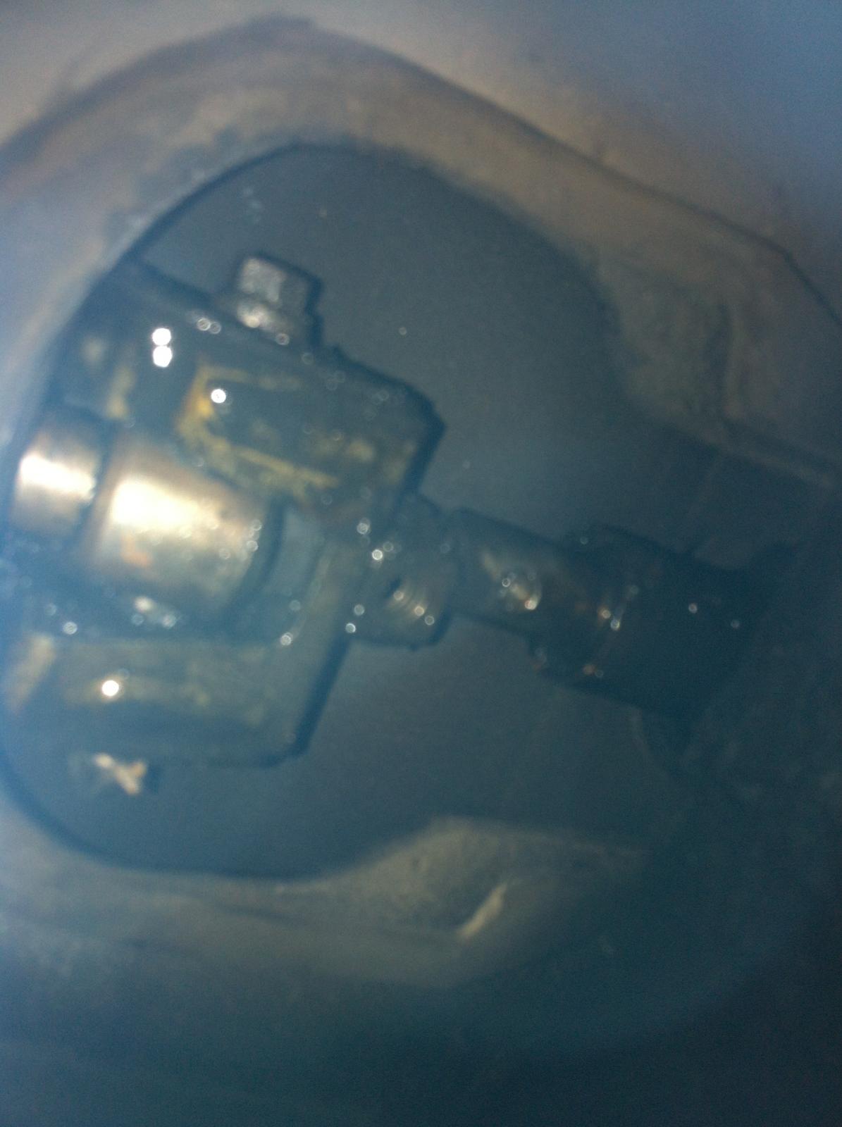 Image may have been reduced in size. Click image to view fullscreen.