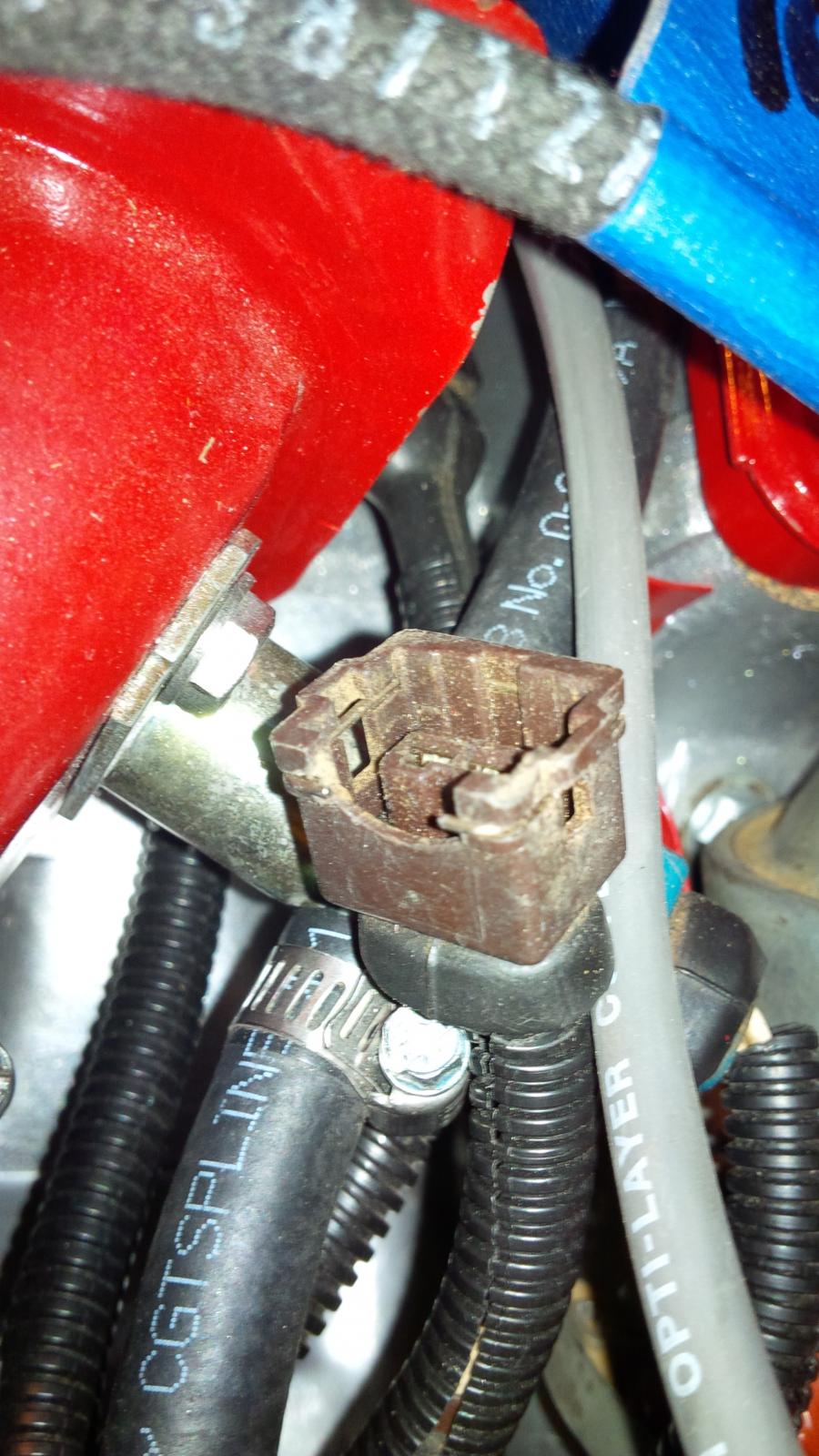 Image may have been reduced in size. Click image to view fullscreen.