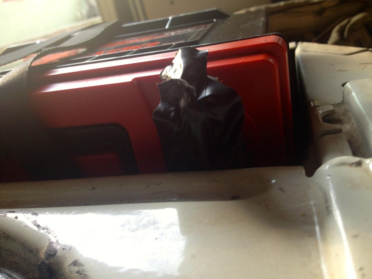 Image may have been reduced in size. Click image to view fullscreen.