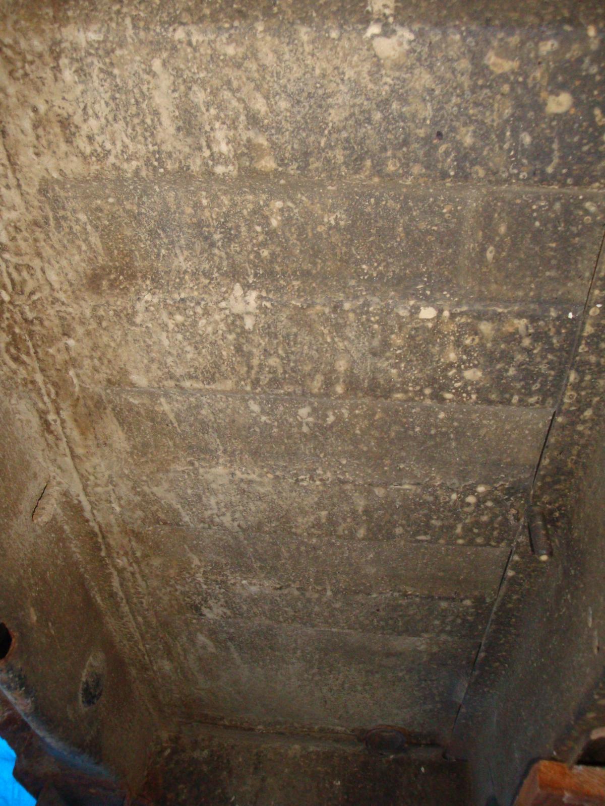 Image may have been reduced in size. Click image to view fullscreen.
