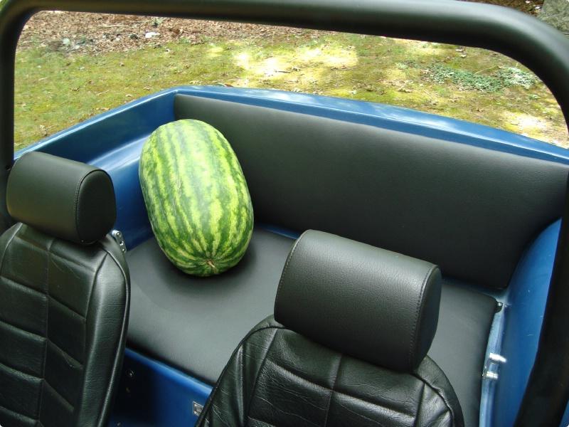 dune buggy rear seat