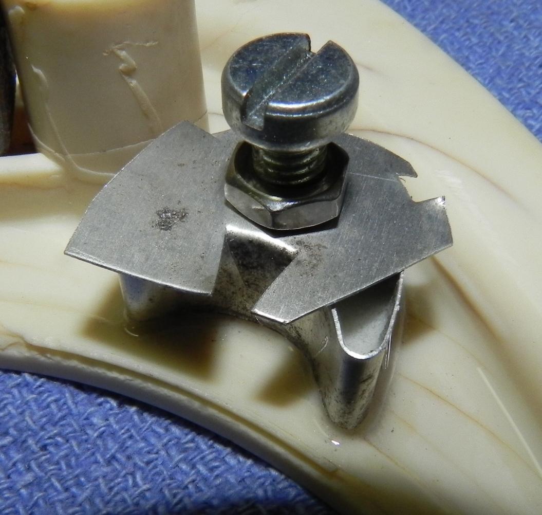 Image may have been reduced in size. Click image to view fullscreen.