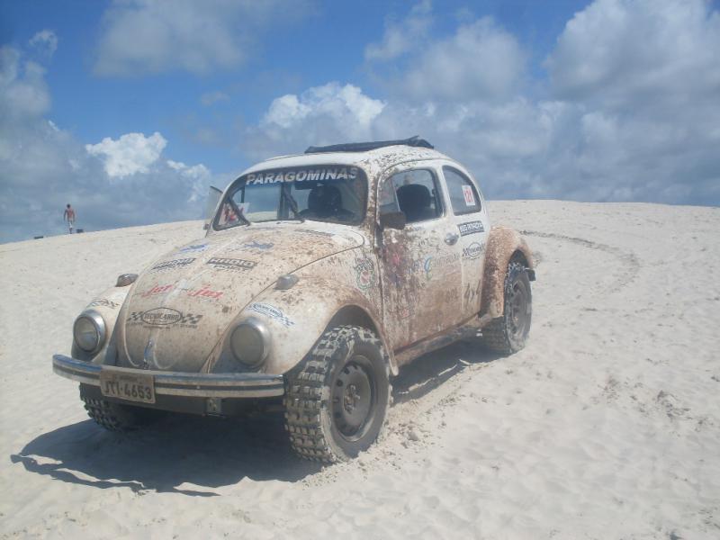 vw beetle off road