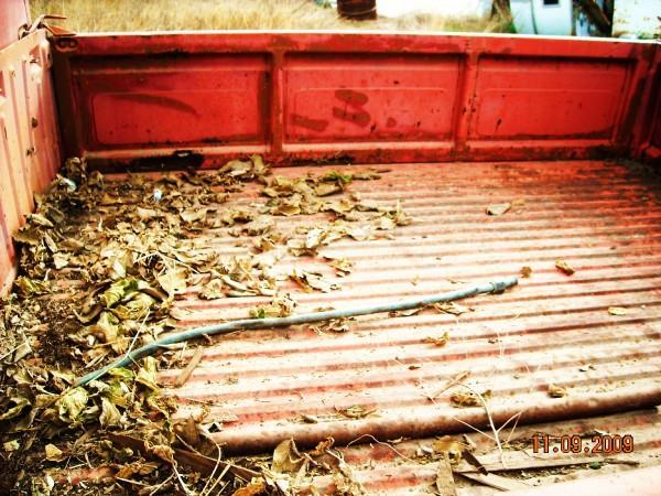 Image may have been reduced in size. Click image to view fullscreen.