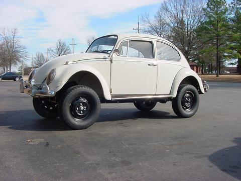 class 11 bug for sale